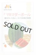 送料無料　[スイカ]　小玉スイカ　FRマダーボール　8粒　ヴィルモランみかど