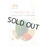 送料無料　[スイカ]　小玉スイカ　FRマダーボール　8粒　ヴィルモランみかど