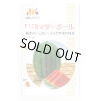 送料無料　[スイカ]　小玉スイカ　FRマダーボール　8粒　ヴィルモランみかど