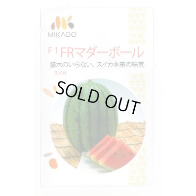 画像1: 送料無料　[スイカ]　小玉スイカ　FRマダーボール　8粒　ヴィルモランみかど