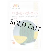 送料無料　[スイカ]　小玉スイカ　ゴールドマダーボール　8粒　ヴィルモランみかど