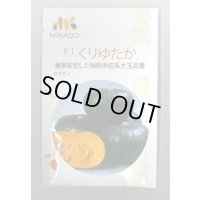 送料無料　[かぼちゃ]　くりゆたか　8粒　ヴィルモランみかど（株）