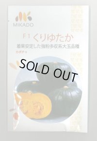 送料無料　[かぼちゃ]　くりゆたか　8粒　ヴィルモランみかど（株）