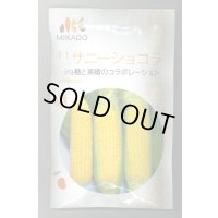 送料無料　[とうもろこし]　サニーショコラ　200粒　ヴィルモランみかど（株）