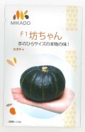 送料無料　[かぼちゃ]　坊ちゃん　100粒　ヴィルモランみかど（株）
