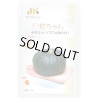 送料無料　[かぼちゃ]　坊ちゃん　100粒　ヴィルモランみかど（株）