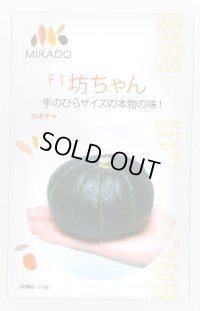 送料無料　[かぼちゃ]　坊ちゃん　100粒　ヴィルモランみかど（株）