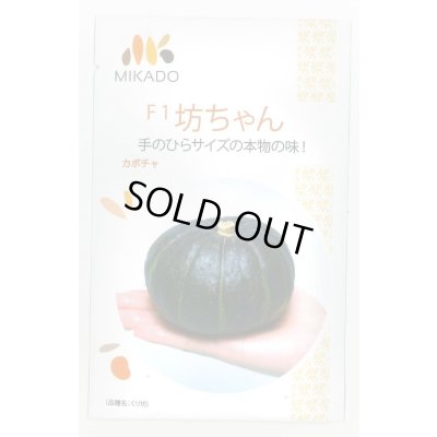 画像1: 送料無料　[かぼちゃ]　坊ちゃん　100粒　ヴィルモランみかど（株）