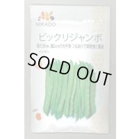 送料無料　[いんげん]　ビックリジャンボ　30ml　ヴィルモランみかど（株）