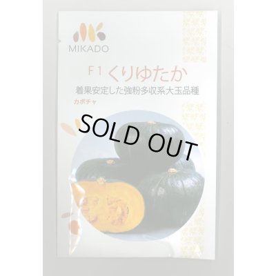 画像1: 送料無料　[かぼちゃ]　くりゆたか　100粒　ヴィルモランみかど（株）