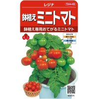 [トマト/ミニトマト]　鉢植えミニトマト　レジナ　小袋（およそ75粒）　サカタのタネ（株）　実咲300