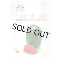 送料無料　[スイカ]　小玉スイカ　マダーボール66　8粒　ヴィルモランみかど