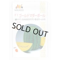 送料無料　[スイカ]　小玉スイカ　ゴールドマダーボール　200粒　ヴィルモランみかど