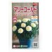 画像1: 花の種　マリーゴールド　ホワイトゴールドマックス　　約30粒　（株）サカタのタネ　実咲500　 (1)