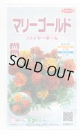送料無料　花の種　マリーゴールド　ファイヤーボール　約30粒　(株)サカタのタネ　実咲500（028555）