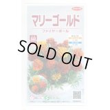 送料無料　花の種　マリーゴールド　ファイヤーボール　約30粒　(株)サカタのタネ　実咲500（028555）