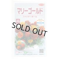 送料無料　花の種　マリーゴールド　ファイヤーボール　約30粒　(株)サカタのタネ　実咲500（028555）