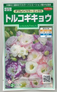 花の種　トルコギキョウ　ダブルバイカラー ミックス　約45粒　サカタのタネ（株）実咲250