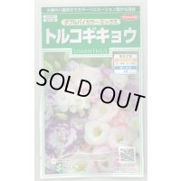 送料無料　花の種　トルコギキョウ　ダブルバイカラー　ミックス　約45粒　(株)サカタのタネ　実咲250（026259）