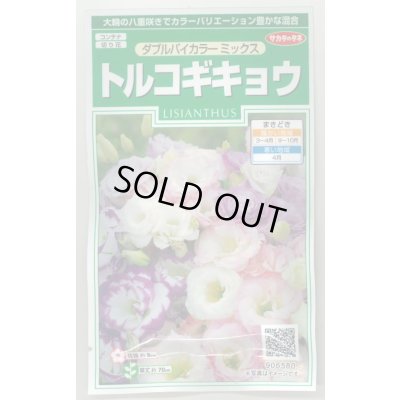 画像1: 送料無料　花の種　トルコギキョウ　ダブルバイカラー　ミックス　約45粒　(株)サカタのタネ　実咲250（026259）