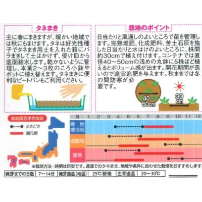 画像2: 花の種　ペチュニア　パステルカラーミックス　約50粒　（株）サカタのタネ　実咲350