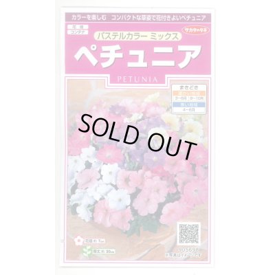画像1: 花の種 ペチュニア パステルカラーミックス 約50粒 (株)サカタのタネ 実咲350(026163)