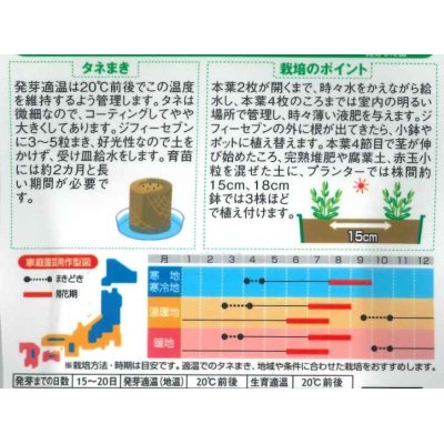 画像2: 花の種　トルコギキョウ　ダブルバイカラー ミックス　約45粒　サカタのタネ（株）実咲250