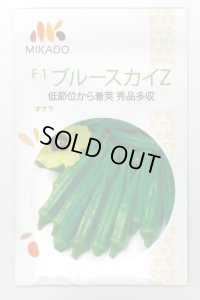 [オクラ] ブルースカイZ 1dl ヴィルモランみかど（株）