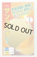 送料無料　[メロン]　サンライズ　100粒　ナント種苗(株)