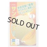 送料無料　[メロン]　サンライズ　100粒　ナント種苗(株)