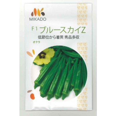 画像1: 送料無料　[オクラ]　ブルースカイZ　10ml　ヴィルモランみかど