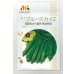 画像1: 送料無料　[オクラ]　ブルースカイZ　10ml　ヴィルモランみかど (1)