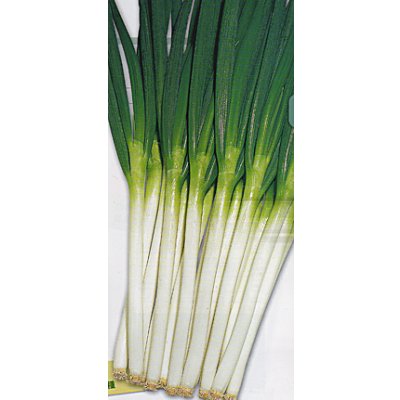 画像2: 送料無料　[ねぎ]　関羽一本太　1dl　(株)トーホク