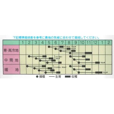 画像2: [大根]　京むらさき　小袋（2ml）およそ130粒　 丸種（株）