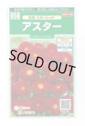 送料無料　花の種　アスター　松本スカーレット　約190粒　(株)サカタのタネ　実咲250（026205）