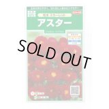 送料無料　花の種　アスター　松本スカーレット　約190粒　(株)サカタのタネ　実咲250（026205）