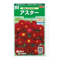 花の種　アスター　松本スカーレット　約190粒　（株）サカタのタネ　実咲250
