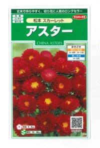 花の種　アスター　松本スカーレット　約190粒　（株）サカタのタネ　実咲250