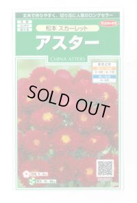 送料無料　花の種　アスター　松本スカーレット　約190粒　(株)サカタのタネ　実咲250（026205）