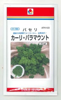 [葉物]　パセリ　カーリ・パラマウント　20ml　タキイ種苗　