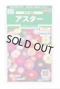 送料無料　花の種　アスター　松本混合　約190粒　(株)サカタのタネ　実咲250（026378）