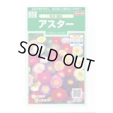 送料無料　花の種　アスター　松本混合　約190粒　(株)サカタのタネ　実咲250（026378）