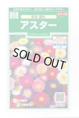 送料無料　花の種　アスター　松本混合　約190粒　(株)サカタのタネ　実咲250（026378）