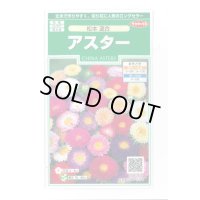 送料無料　花の種　アスター　松本混合　約190粒　(株)サカタのタネ　実咲250（026378）