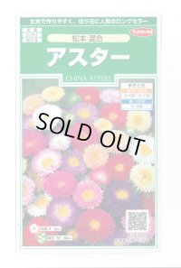 送料無料　花の種　アスター　松本混合　約190粒　(株)サカタのタネ　実咲250（026378）