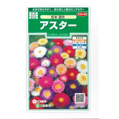 画像1: 花の種　アスター　松本混合　約190粒　（株）サカタのタネ　実咲250