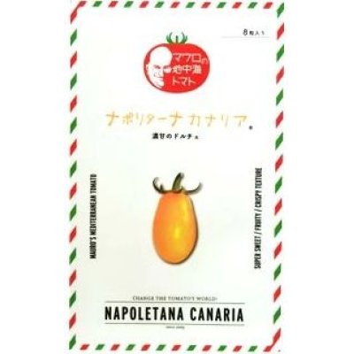 画像1: [トマト/マウロの地中海トマト]　ナポリターナカナリア　8粒　　 パイオニアエコサイエンス（株）