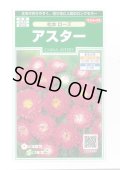 送料無料　花の種　アスター　松本ローズ　約190粒　(株)サカタのタネ　実咲250（026207）
