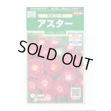 送料無料　花の種　アスター　松本ローズ　約190粒　(株)サカタのタネ　実咲250（026207）
