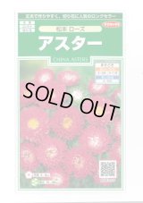 送料無料　花の種　アスター　松本ローズ　約190粒　(株)サカタのタネ　実咲250（026207）